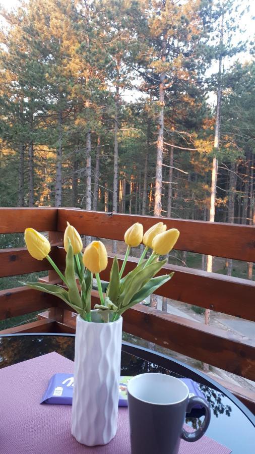 Prima Zlatibor