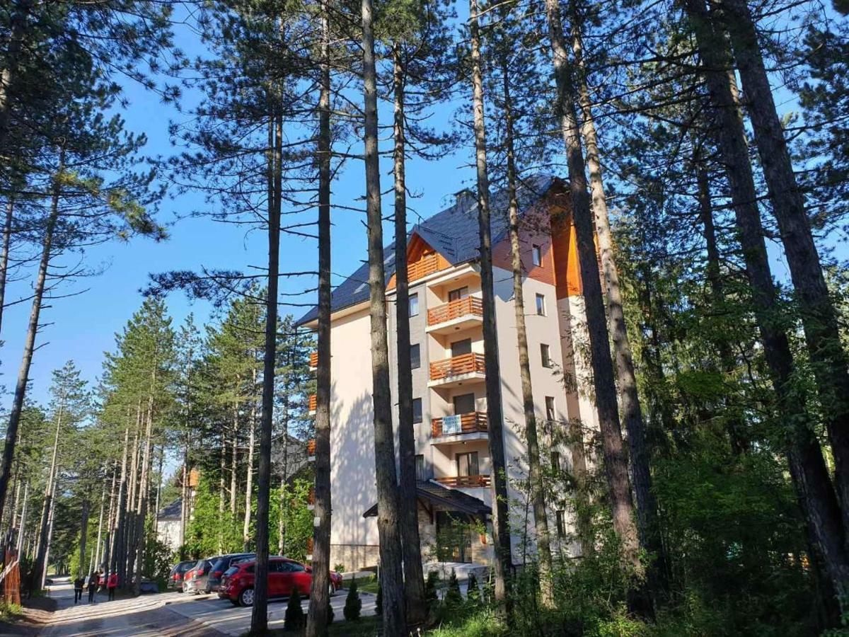 Prima Apartment *